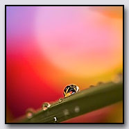 Photoemotions thumbnail