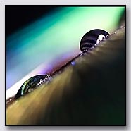 Photoemotions thumbnail
