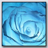 Photoemotions thumbnail