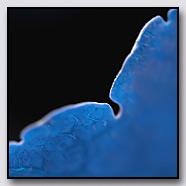Photoemotions thumbnail