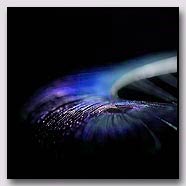 Photoemotions thumbnail