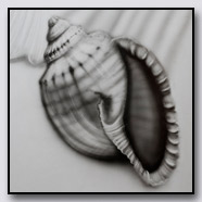 Photoemotions thumbnail