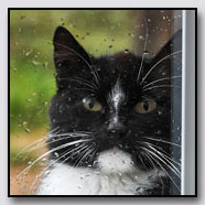 Photoemotions thumbnail