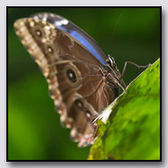 Photoemotions thumbnail