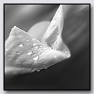 Photoemotions thumbnail