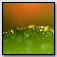 Photoemotions thumbnail
