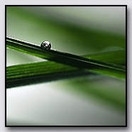 Photoemotions thumbnail