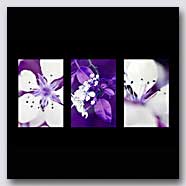 Photoemotions thumbnail