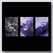 Photoemotions thumbnail