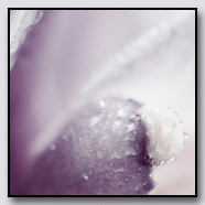 Photoemotions thumbnail