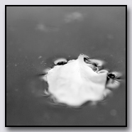 Photoemotions thumbnail