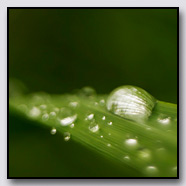 Photoemotions thumbnail