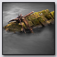 Photoemotions thumbnail