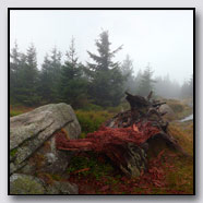 Photoemotions thumbnail