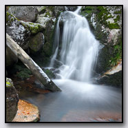Photoemotions thumbnail