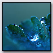 Photoemotions thumbnail