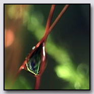 Photoemotions thumbnail