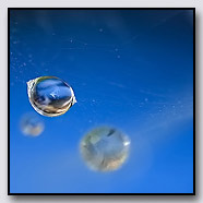 Photoemotions thumbnail