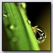 Photoemotions thumbnail