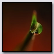 Photoemotions thumbnail