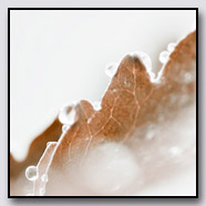 Photoemotions thumbnail