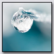 Photoemotions thumbnail