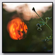 Photoemotions thumbnail