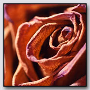Photoemotions thumbnail
