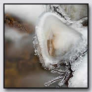 Photoemotions thumbnail