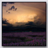 Photoemotions thumbnail