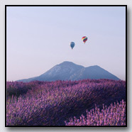 Photoemotions thumbnail