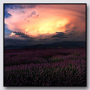 Photoemotions thumbnail