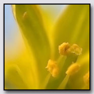 Photoemotions thumbnail